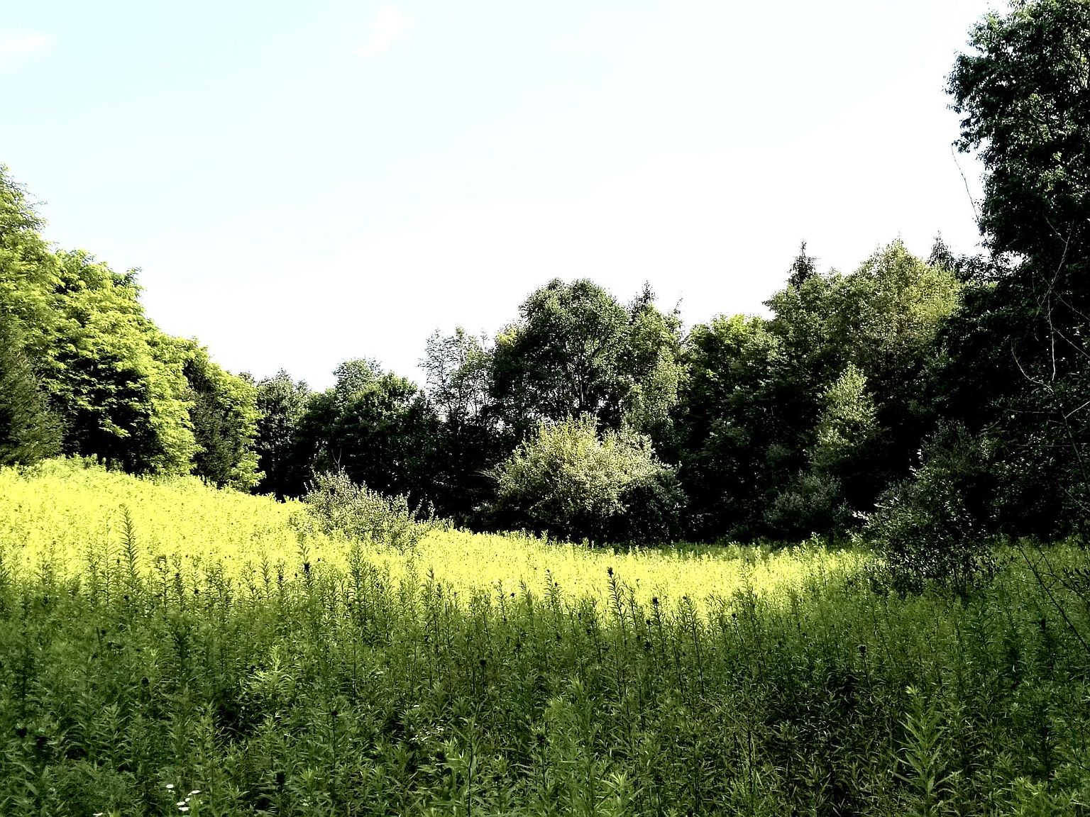 711 Shawmut Rd, Brockport, PA 15823 Zillow