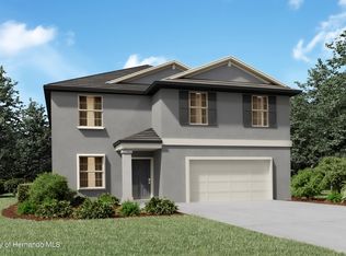 319 Rain Lily Ave, Spring Hill, FL 34609