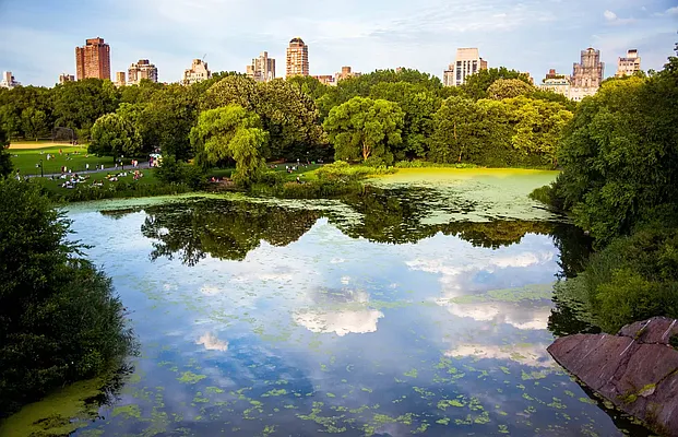 Rented by Voro NYC | media 18