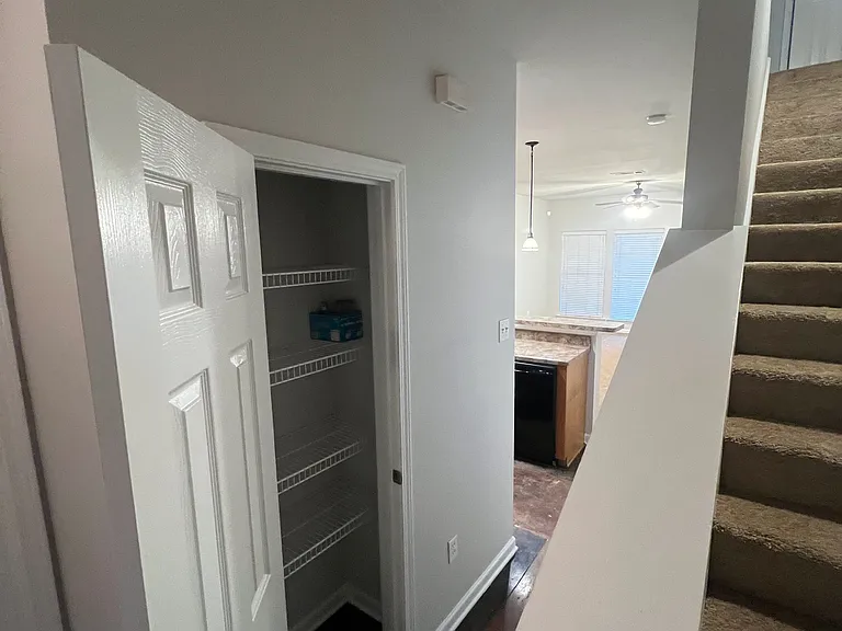 1900 Carrollwood Dr #3 — Photo 36