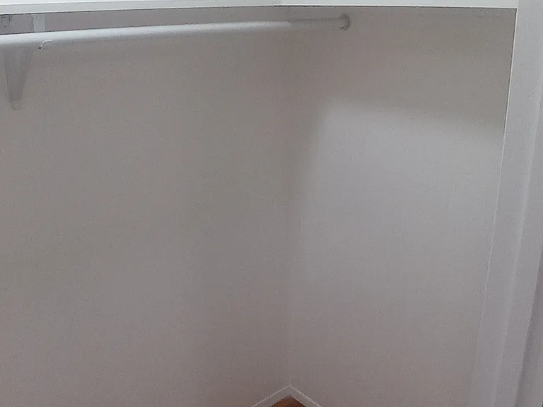 Large walk-in closet