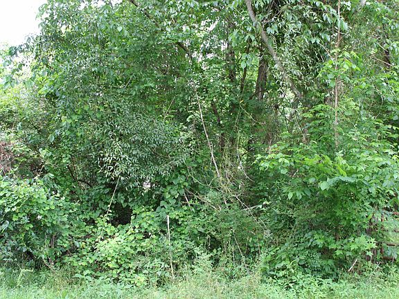 5th image of 0 Wooten Rd