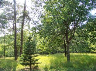 15450 Haskins Rd, Hillman, MI 49746