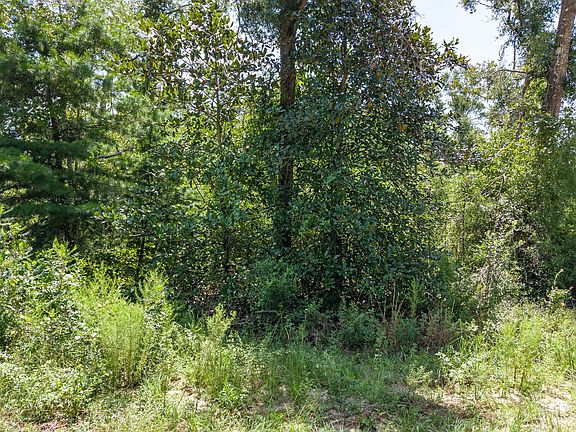 5th image of 0 NW Pin Oak Ln