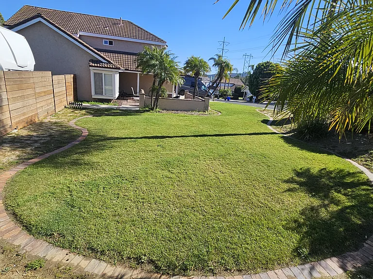 Mimosa Dr — Photo 46