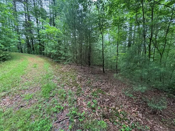 LOT 11 Horse Camp Dr, Hayesville, NC 28904