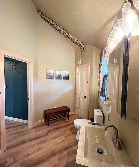 Large linen/storage closet in bathroom