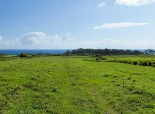 52-2641 Kahua Paa Pl LOT 3, Kapaau, HI 96755