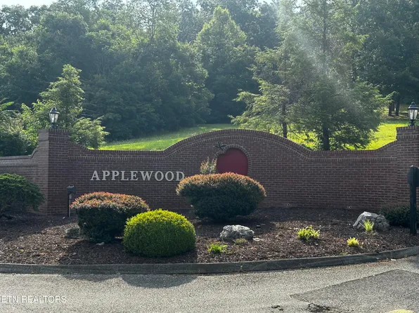 State Highway 113, White Pine, TN 37890