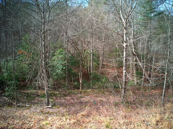 51 Panda Ln Lot Wp051, Murphy, NC 28906