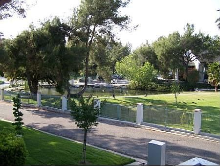 Pond across street