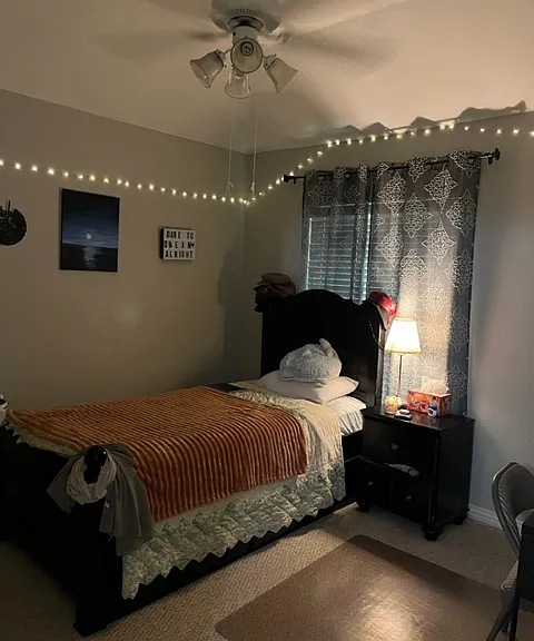 11233 Deep Canyon Trl — Photo 5