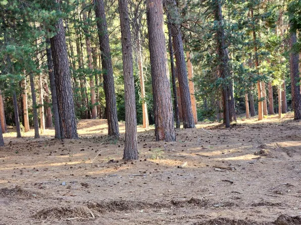 165 Secret Town Ln, Colfax, CA 95713