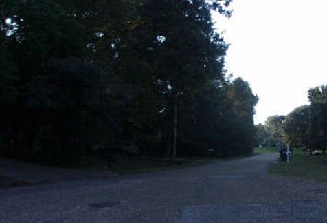 2nd image of 113 Blythe Ln