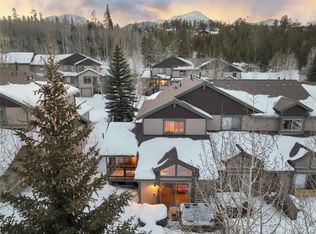 269 Kestrel Ln, Silverthorne, CO 80498
