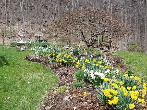 Welcome spring with color