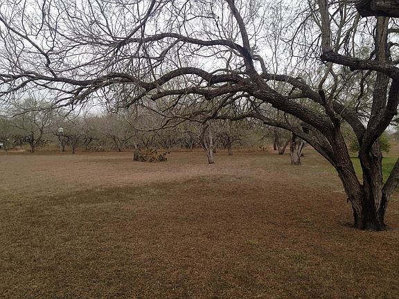 Backyard view