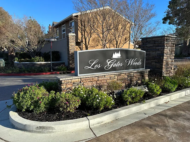 Los Gatos Woods