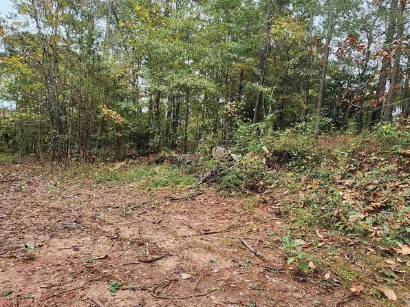 18 E Mourning Dove Ct, Monticello, GA 31064