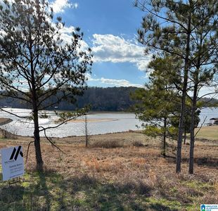 Lake Pointe Dr #309, Lincoln, AL, 35096