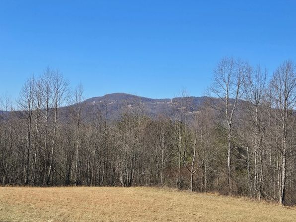 208 Hoot Hollow Rd, Cana, VA 24317