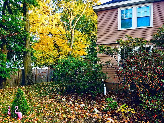 Treed yard 