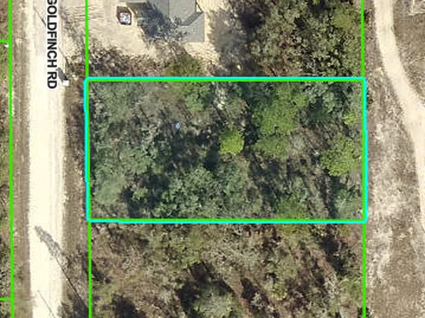 0 Goldfinch Rd, Brooksville, FL 34614