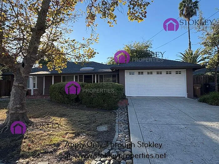 3 bed, 1.0 bath, 1042 sqft, $3,295 — Photo 4