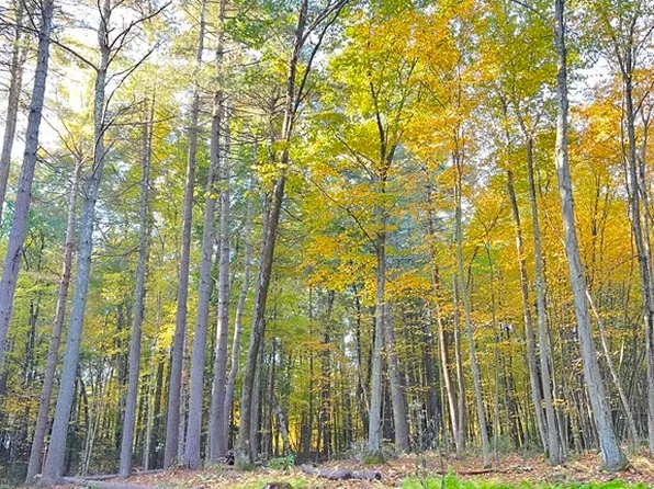 23-23.04 Orchard St, Belchertown, MA 01007