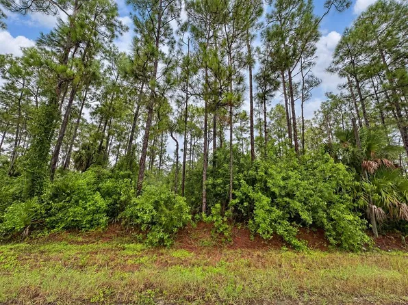6TH AVENUE NE LOT 78, NAPLES, FL 34120