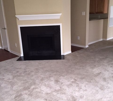 Woodburning Fireplace