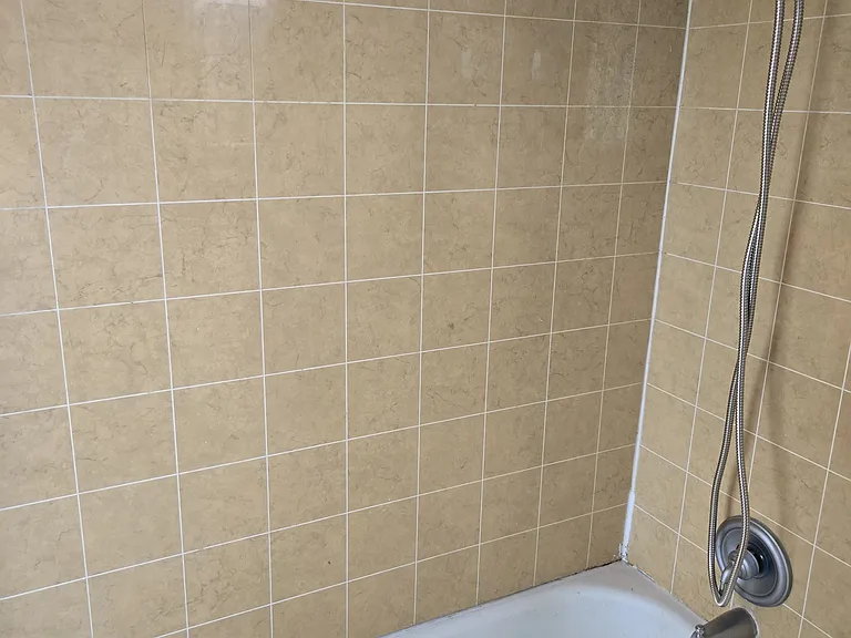 bathtub and shower
