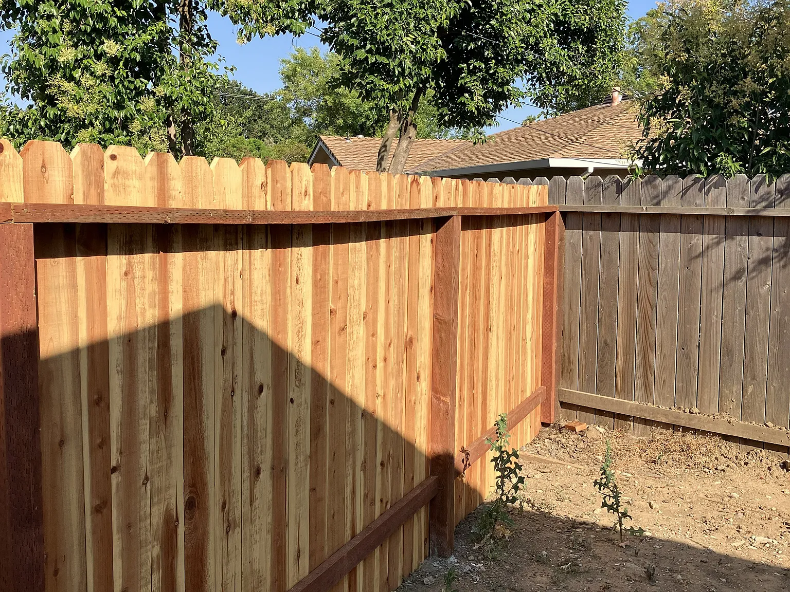 3 bed, $2,950 — Photo 3
