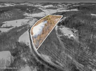 226 Bush St, Cobleskill, NY 12043