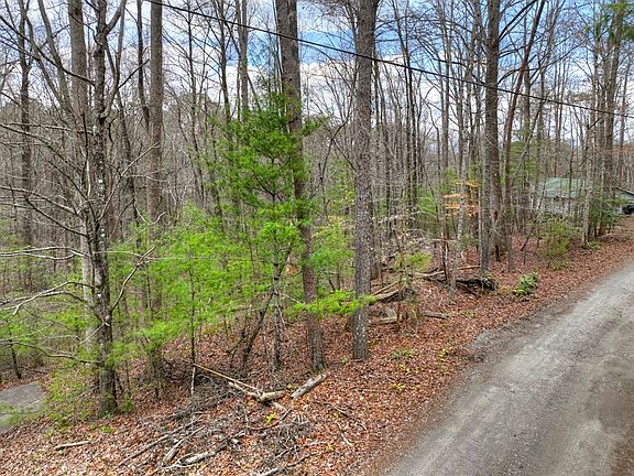 3rd image of 0 Ridge View Ct