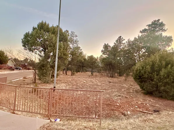 600 S Reynolds Ln, Show Low, AZ 85901