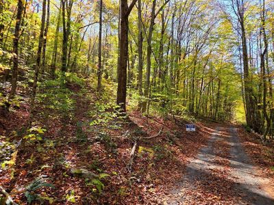 0 Backus Mountain Rd, Meadow Bridge, WV, 25976