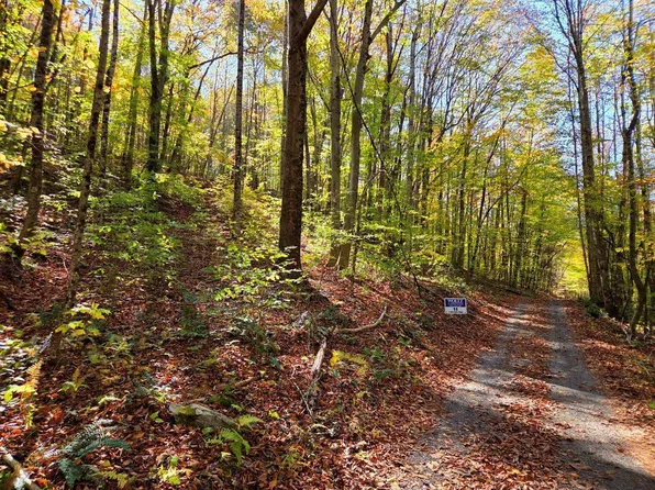 0 Backus Mountain Rd, Meadow Bridge, WV 25976