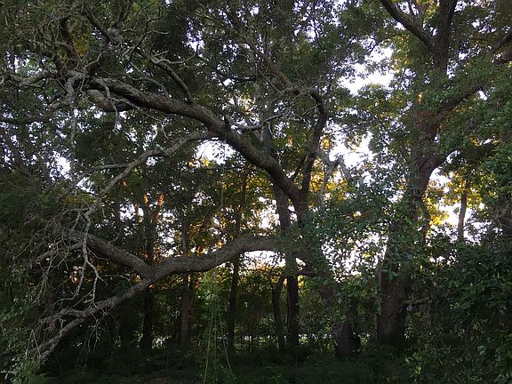 4th image of Lot 120 E Island View Drive