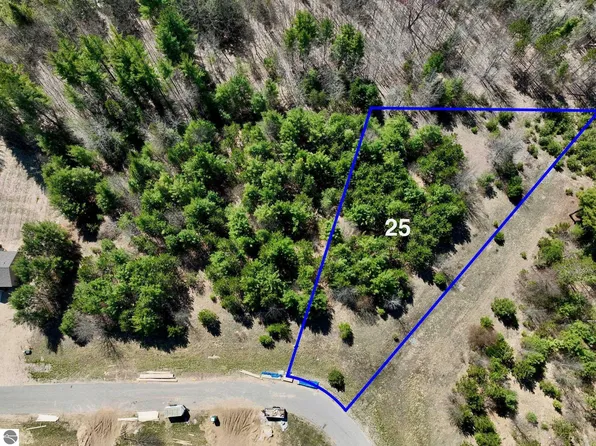 6465 Jeffrey Pl Lot 25, Grawn, MI 49637