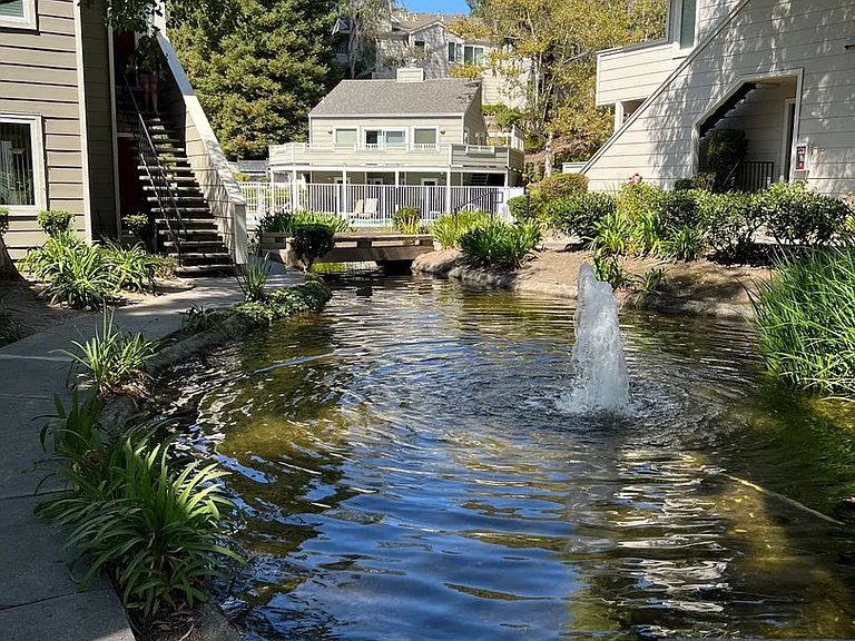 318 Norris Canyon Ter — Photo 26