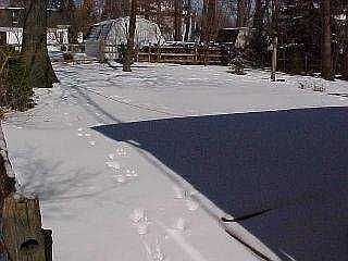 2nd image of 4130 Shady Grv
