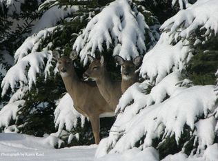 Carp Creek Rd, Ocqueoc, MI 49759