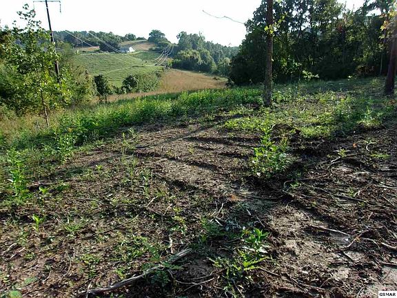5th image of 12 Lakota Rd
