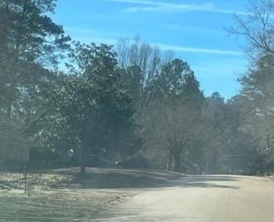 Exterior Neighborhood (street photo)