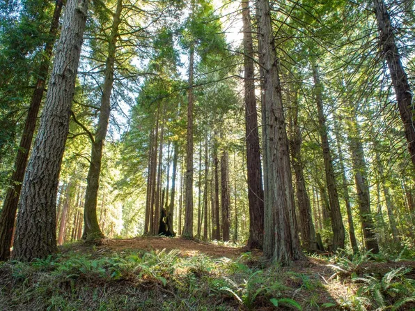 400 Indian Close, The Sea Ranch, CA 95497