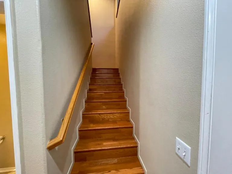 Elderberry Cir — Photo 13