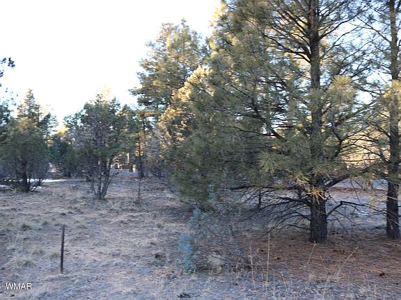 4th image of 4610 W Hawthorn Rd