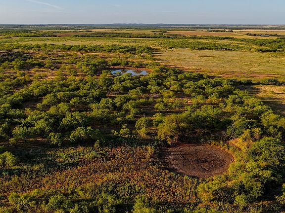 Walker Road Ranch, mature mesquite trees, hardwood trees, ponds, native grasses, electric