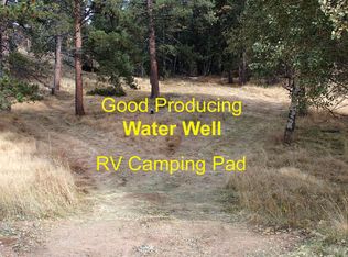 84 Caribou Cir, Florissant, CO 80816